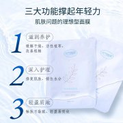 元气地带美妆清润水感贴片式补水滋润柔嫩肌肤细致修护保湿面膜